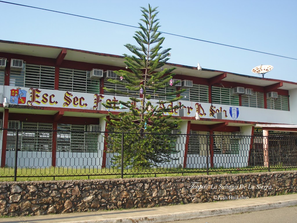 Educación y escuelas del municipio de Teapa Tabasco.